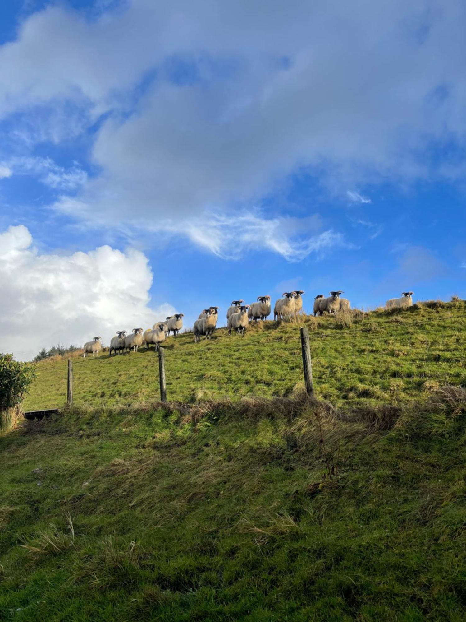 Shanakeever Farm - 2 Bedroom Apartment Clifden